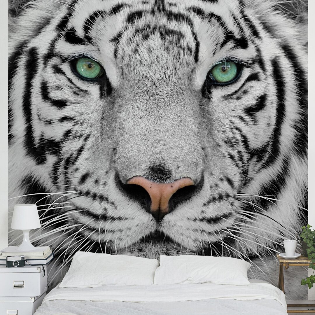 Tapete Weißer Tiger 336 cm L x 336 cm B Krahn