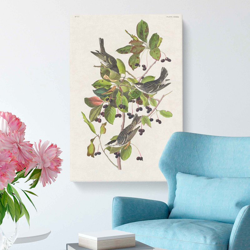 Black-Poll Warbler Birds by John James Audubon - Wrapped Canvas, 60cm H x 40cm W x 3cm D