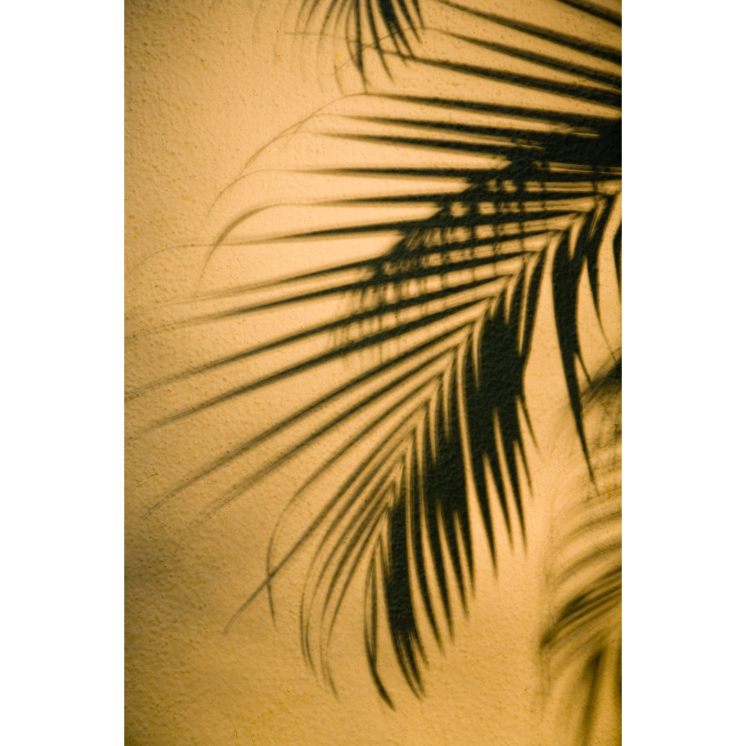 Palm Tree Shadow von Tomatopictures - Leinwandbild