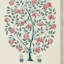 Anaar Tree Wallpaper-50888933