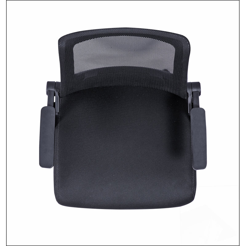 Chaise de bureau avec structure en plastique, plastique, pivotant, support lombaire, hauteur réglable, roulettes