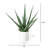 17.5In. Artificial Agave Plant