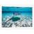 Toile tendue
