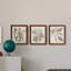 Ensemble de 3 cadres photo sur toile Midnight Tulip V-981462673-981462680
