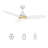  3 Blades Smart DC Motor Ceiling Fan with LED light, Remote Control