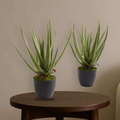 Aloe Artificial Plant (Set of 2)