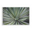 «Striped Plant Leaves», art de la giclée encadrée par Susan Bryant