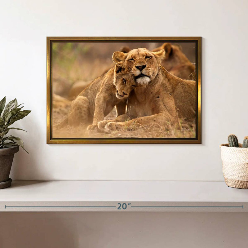 Lionne et louveteau, Cadre flottant doré, 13 po x 9 po