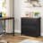 Helane 30.7'' Wide 2 -Drawer File Cabinet-159451874