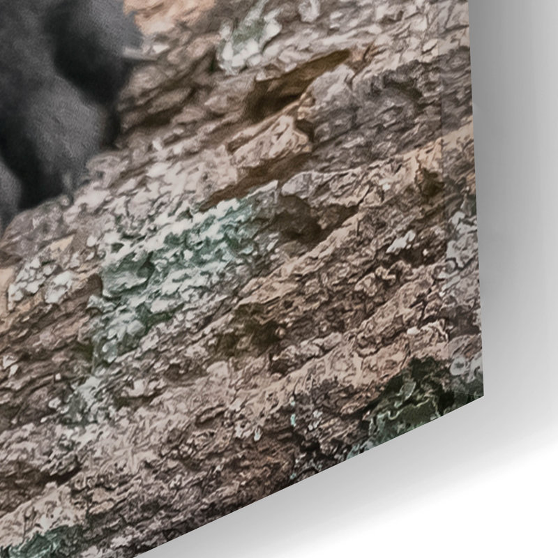 «Black Lab Pup 6» par Jonathan Ross, H 24 po x l 16 po x P 0,2 po