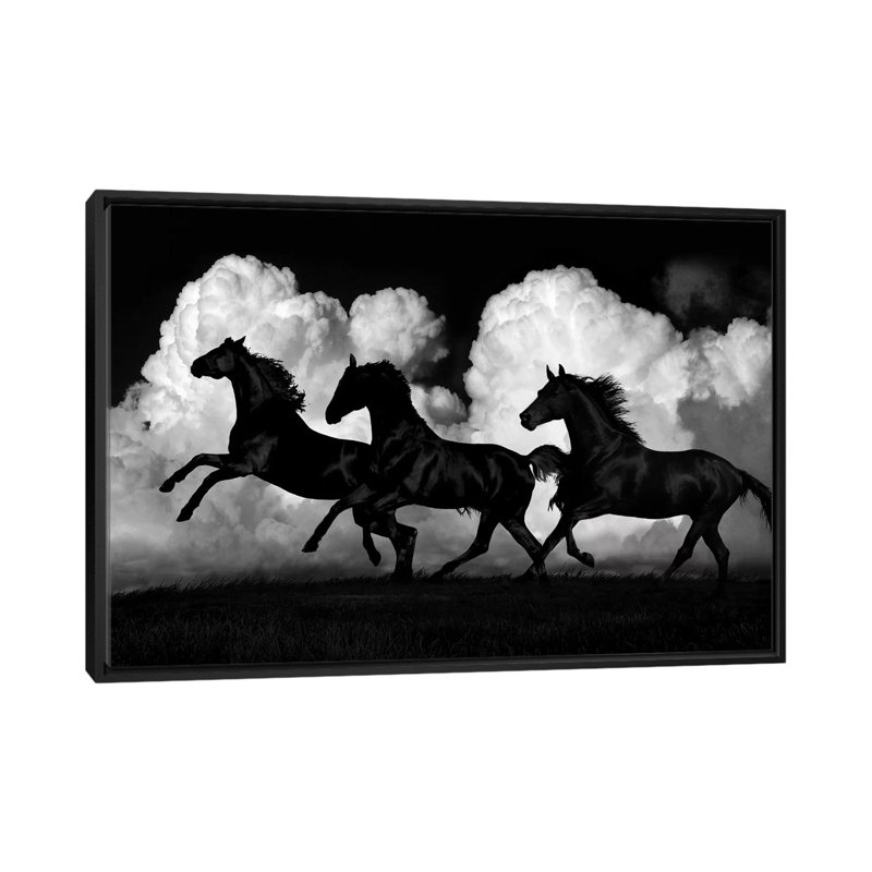 «Wild Horses», impression sur toile, H 18 po x l 26 po x P 1,5 po, Toile avec cadre noir, Pas de tapis