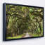 Live Oak Tunnel - Imprimé-1557552024-1604748974