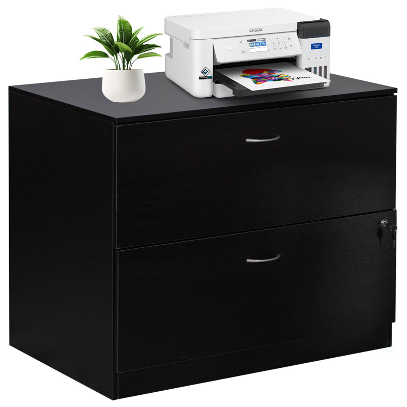 Alviso 30-Inch Wooden Lateral File Cabinet with Two Spacious Drawers, One Lockable - Suitable for Home Office, Offering Ample Space for Documents, Supplies, and Printer Stand Needs