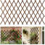 Treillis de jardin extensible, treillis pour plantes grimpantes d'extérieur