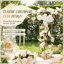 Plant Stand 1 Tier Set of 4