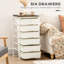 6 Drawer Storage Drawer