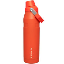 Wayfair  Beige Water Bottles You'll Love in 2024