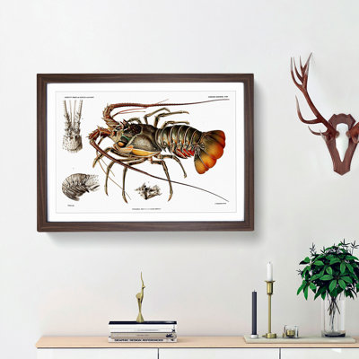European Lobster by Albert I - Picture Frame Painting Print on MDF