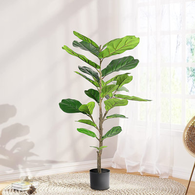 150cm Faux Ficus Tree in Cement Pot