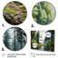 Canada Whispering Pines II - reproduction sur toile-1379833455-1379833452