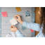 Girolamo Cork Corkboard / Bulletin Board