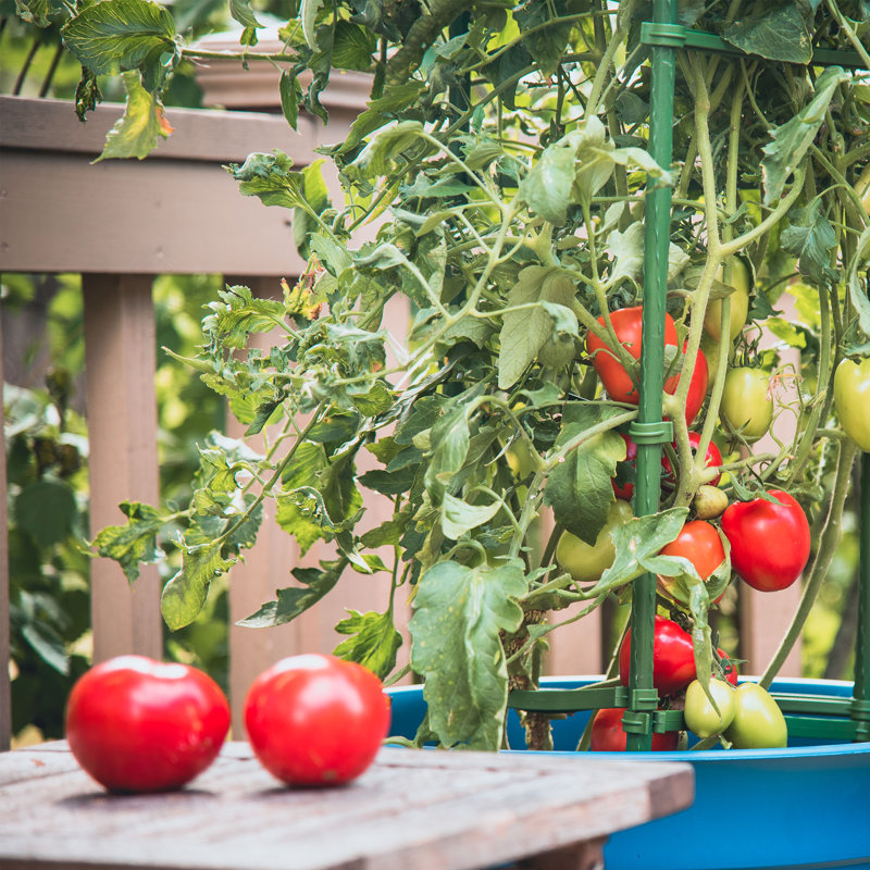 Support pour plantes Eastman