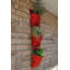 LosPalmos Wall Planter-13637872