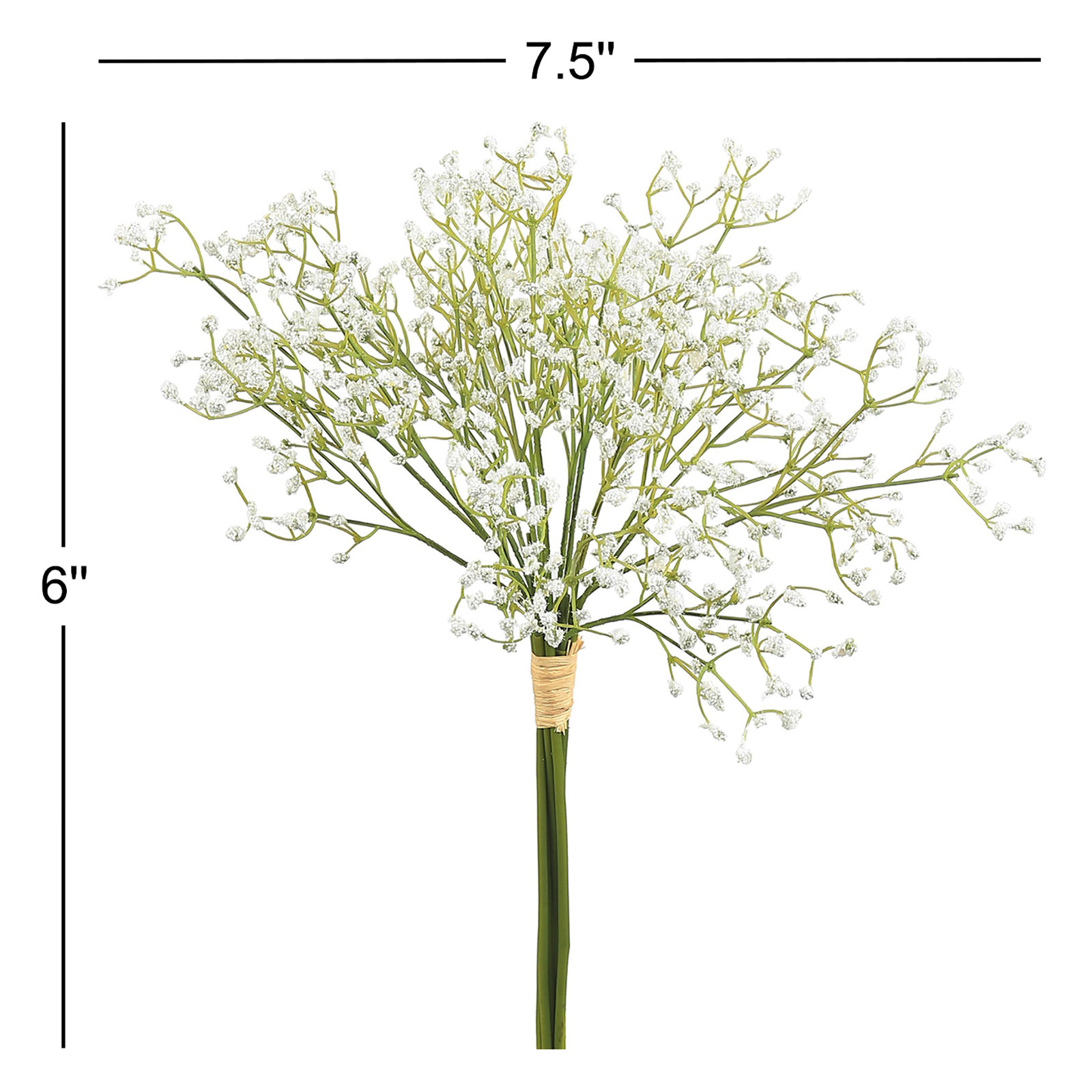 Baby's Breath Stems