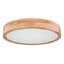 Perdomo Plastic LED Flush Mount-1794619479