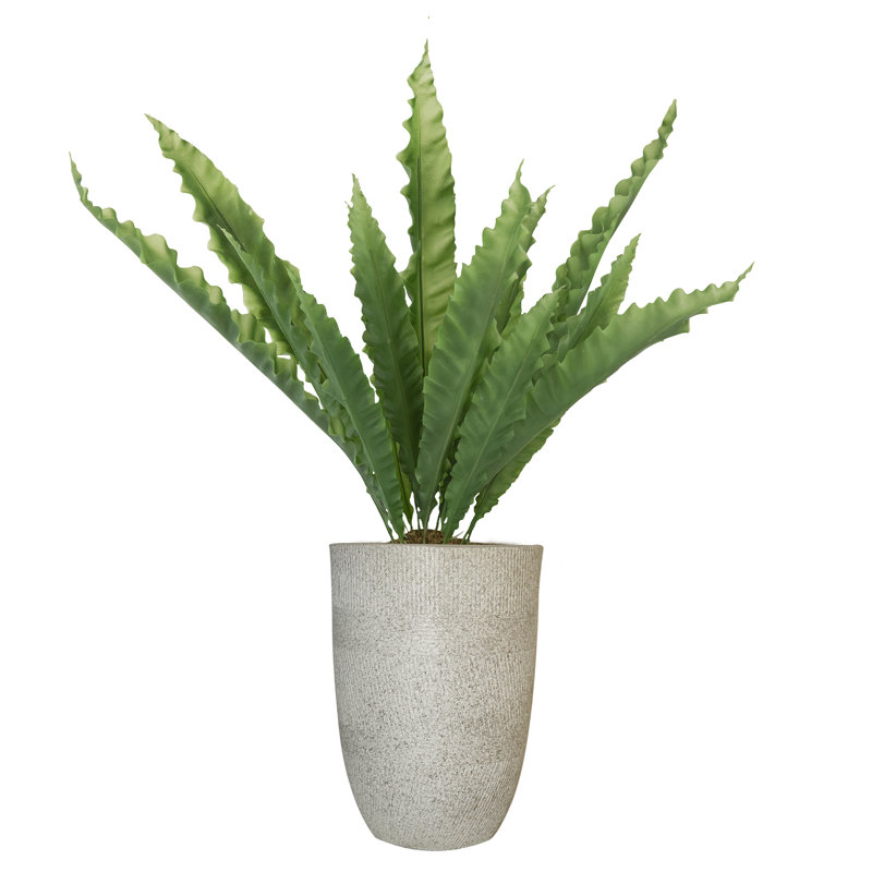 40 " H Faux Yucca Tree in Fiberstone Planter