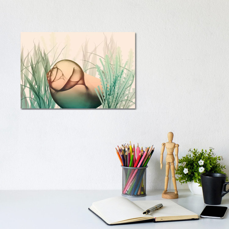 Underwater Dawn II by Albert Koetsier - Wrapped Canvas Print, 20.32 cm H x 30.48 cm W