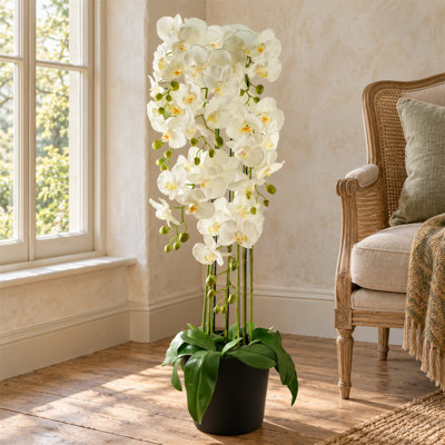 Real Touch Artificial Orchids Artificial Faux Floral in Plastic Planter