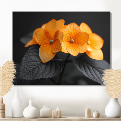 Orange orange, parfum d'hydrangées et d'hortensias muraux