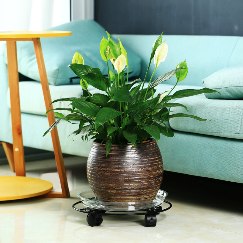 Support pour plante Meendert