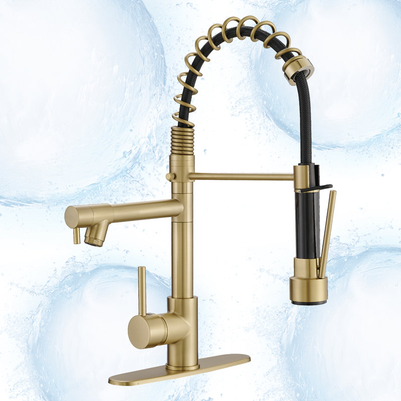 Single-Handle Pull-Down Sprayer 2 Spray High Arc Kitchen Faucet, Brushed Gold