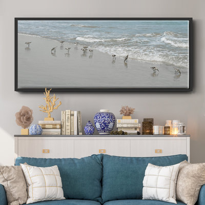 Oiseaux de rivage