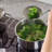 Fissler Pure Collection Rondeau with Glass Lid-95034263