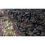 Marquis Wool Oriental Area Rug in Navy/Beige