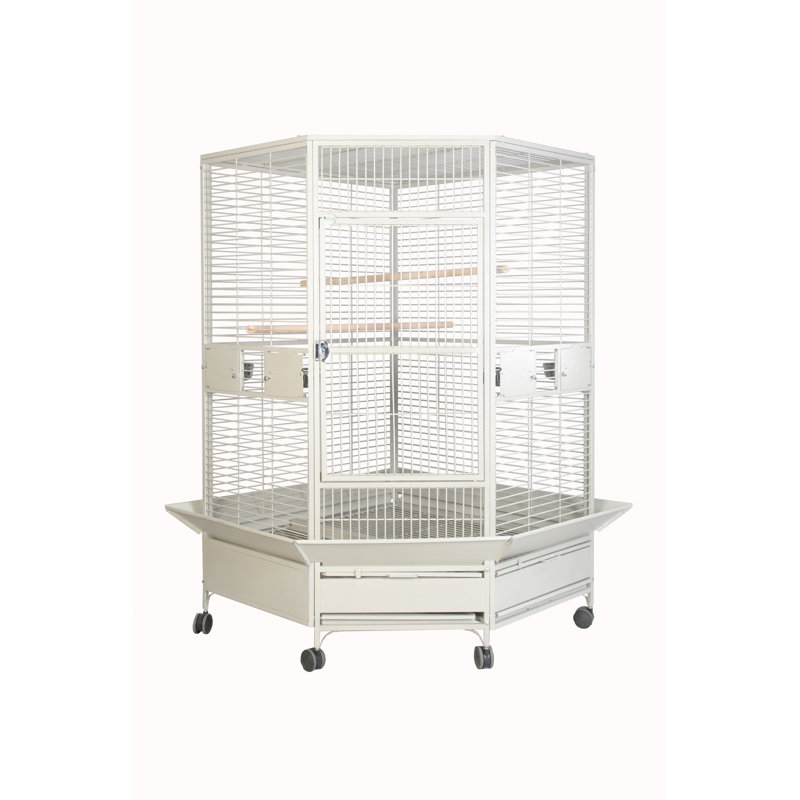 Cage à plateau plat 42 po x 42 po par A&E, Platine
