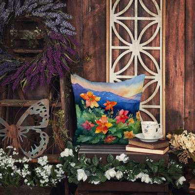 Coussin Colorado