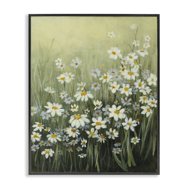 «Daisy Field Garden», art de la giclée encadrée par Lanie Loreth, Giclée encadrée noir minuit, H 20 po x l 16 po
