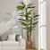 Panama 66" Artificial Scindapsus Aureus Tree in Planter