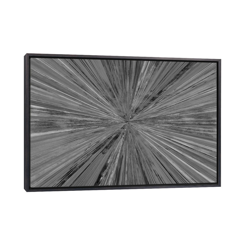 Lumière chatoyante I, H 26 po x l 40 po, Toile à cadre flottant noir patiné, Noir / blanc inversé
