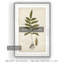 « palm botanique iii »-impression sur toile-654948720-654949105