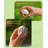 Lifelines Grounding Stones - Tactile Collection plus Essential Oil Blend