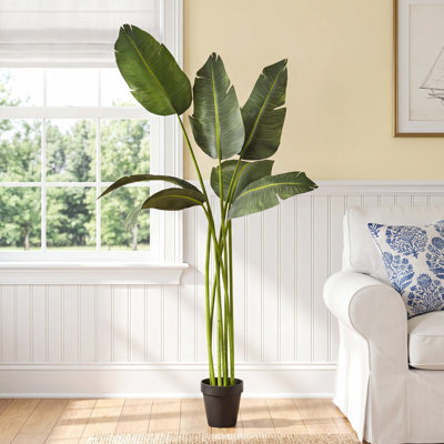 Banane artificielle 78 po en pot