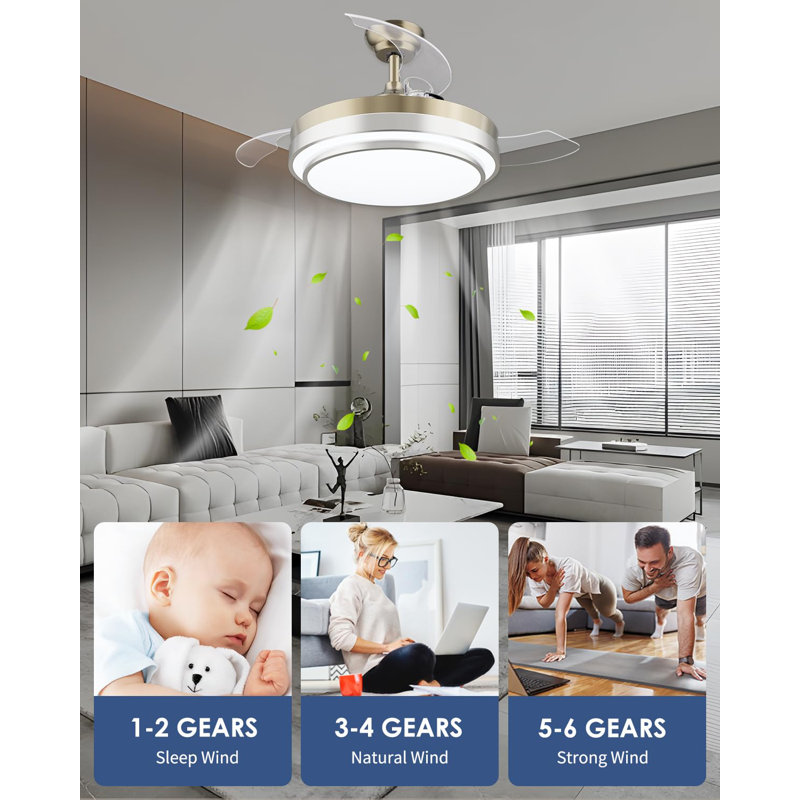 Ceiling Fan with LED Lights