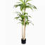 Arbre Dracaena artificiel 5 'avec pot en plastique noir, 1pc / ensemble