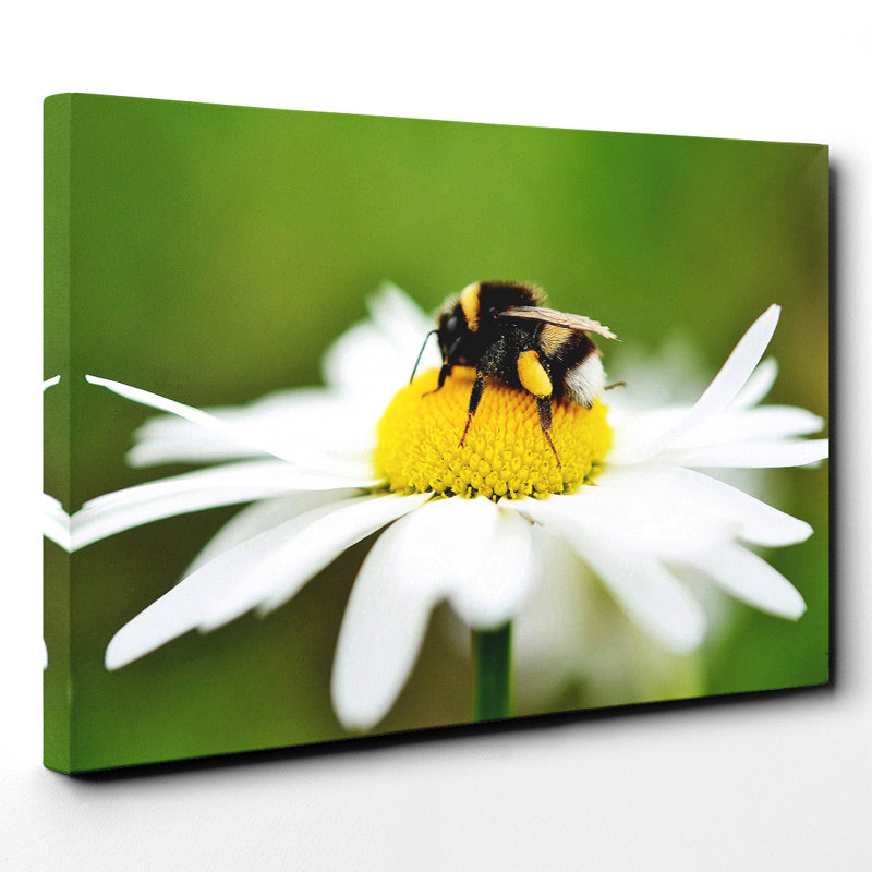 Wrapped Canvas Print, 70cm H x 100cm W