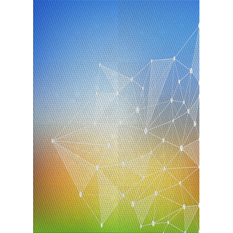 Wool Indoor Rug
